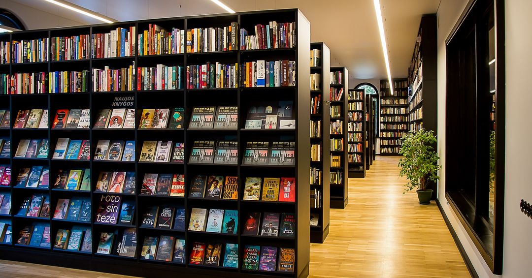 Vinco Kudirkos biblioteka